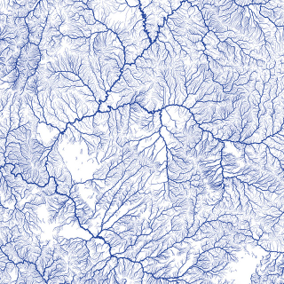 Illustration for article titled All the Rivers in the US Look Like Veins With Blue Blood